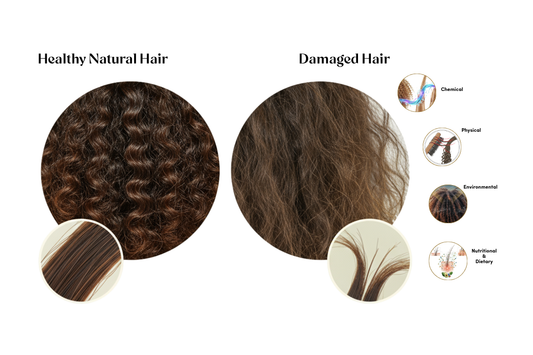 Understanding Common Causes of Hair Damage!