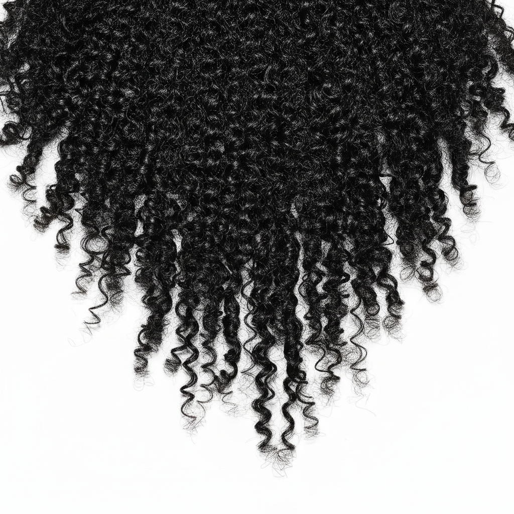 Refined Natural Curls